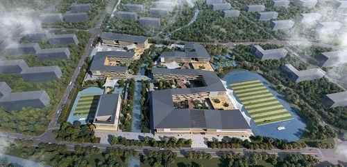 持续发力,余姚这片区域建设再次提速