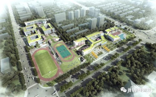 质量标杆引领安居梦，潍坊优质小区荣登省级榜单